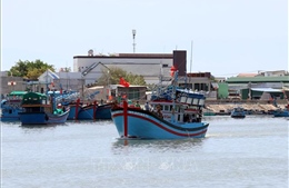 Khắc phục 'thẻ vàng' IUU: Khánh Hòa đảm bảo minh bạch, đầy đủ số liệu theo yêu cầu