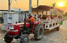 Lâm Đồng phát triển nhiều tour du lịch bằng đường bộ