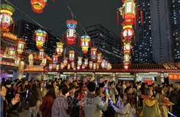 Đặc sắc lễ hội đèn lồng Tết Nguyên tiêu tại Hong Kong (Trung Quốc)
