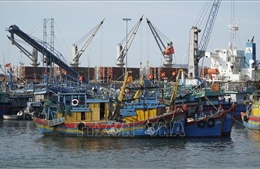 Tinh giản đội tàu, chuyển đổi nghề cá để gỡ 'thẻ vàng' IUU
