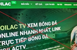Khởi tố 30 bị can tổ chức đánh bạc và đánh bạc liên quan hệ thống 'Xôi Lạc TV'