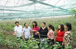 Kinh tế tư nhân trước cơ hội bứt phá mới - Bài 1: Tạo sức bật bền vững