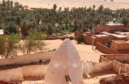 Cuộc sống nơi ốc đảo trên sa mạc Sahara châu Phi