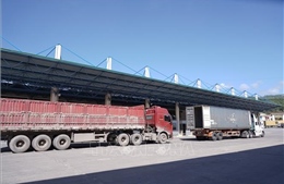 Khối lượng hàng xuất nhập khẩu qua cửa khẩu Quảng Trị giảm gần 12% 