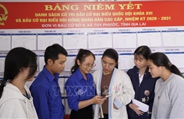 Bầu cử Quốc hội và HĐND: Tận dụng ưu thế của mạng xã hội