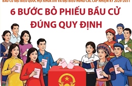Bầu cử Quốc hội và HĐND: 6 bước bỏ phiếu bầu cử đúng quy định