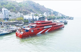 Tăng chuyến tàu cao tốc tuyến Vũng Tàu - Côn Đảo, giảm giá vé dịp hè 2026