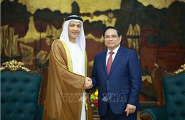 Thủ tướng Phạm Minh Chính đề nghị hiện thực hóa kết quả điện đàm giữa Thủ tướng với Tổng thống UAE