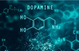 Định hình lại vai trò 'hoá chất hạnh phúc' của Dopamine
