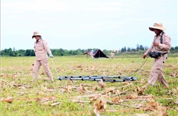 Bỉ hỗ trợ Việt Nam khắc phục hậu quả chất độc da cam