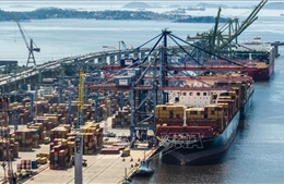 WTO: Xung đột gây áp lực lên triển vọng thương mại toàn cầu