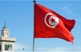 Điện mừng Quốc khánh Cộng hòa Tunisia