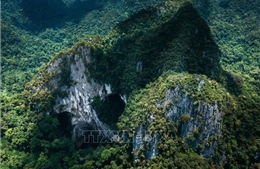 Kho báu sinh học chưa được khám phá giữa đại ngàn Trường Sơn