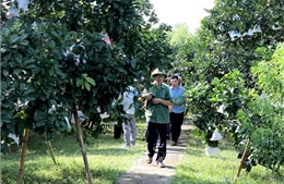 Nông nghiệp công nghệ cao tăng giá trị sản phẩm đặc sản địa phương