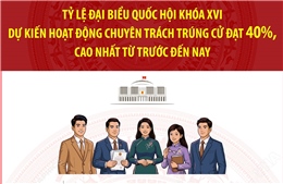 Tỷ lệ đại biểu Quốc hội khóa XVI dự kiến hoạt động chuyên trách trúng cử đạt 40%