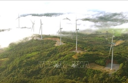 Thúc đẩy phát triển ngành công nghiệp năng lượng tái tạo, năng lượng mới