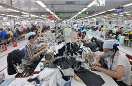 Tìm 'động lực sinh tồn' giữa biến động địa chính trị toàn cầu