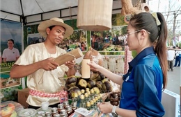 Lễ hội Sông nước thúc đẩy quảng bá du lịch các tỉnh ven sông ở Campuchia