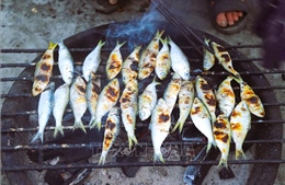 Nghệ An: Cá trích nướng than hoa tại các làng biển Hải Châu bất ngờ hút khách