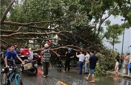 Chủ động ứng phó dông, lốc, sét, mưa đá trong thời kỳ chuyển mùa