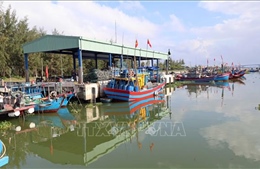 Phản hồi thông tin TTXVN: Cảng cá Hồng Triều sẽ sớm có đơn vị quản lý, vận hành