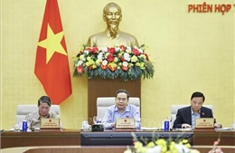 UBTV Quốc hội cho ý kiến về kết quả giám sát năm 2025, chuẩn bị Kỳ họp thứ Nhất, Quốc hội khóa XVI