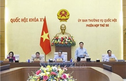 Tổng rà soát hệ thống văn bản quy phạm pháp luật, tạo nền tảng phát triển nhanh, bền vững