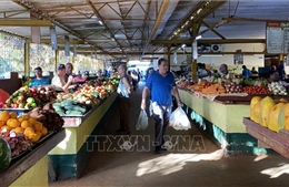 Cuba tăng cường hợp tác giữa các doanh nghiệp nhà nước và khu vực tư nhân