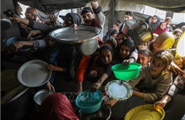 Hội đồng Hòa bình Gaza áp thời hạn chót với Hamas