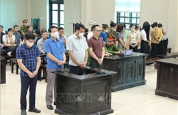 Tuyên án vụ đưa, nhận hối lộ trong cung cấp thực phẩm trường mầm non 