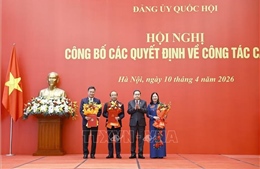 Chủ tịch Quốc hội Trần Thanh Mẫn trao quyết định chỉ định  Bí thư Đảng ủy 3 cơ quan của Quốc hội