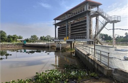 Xâm nhập mặn có xu thế tăng dần vào cuối tuần