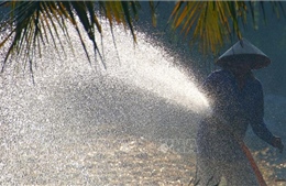 Nhiều hệ thống cấp nước không đảm bảo phục vụ mùa khô 