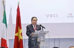 Chủ tịch Quốc hội Trần Thanh Mẫn dự Tọa đàm chính sách thúc đẩy hợp tác Việt Nam - Italy