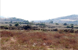 Ráo riết với mục tiêu đưa nhà máy điện hạt nhân đầu tiên đi vào hoạt động 