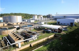 Nhà máy Nhiên liệu sinh học Dung Quất sẽ chạy hết công suất trong tháng 4