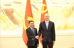 Cuộc gặp đại diện hai Bộ Chính trị Việt Nam - Trung Quốc lần thứ 8