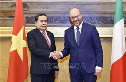 Chủ tịch Quốc hội Trần Thanh Mẫn hội đàm với Chủ tịch Hạ viện Italy