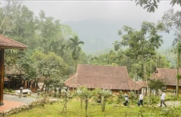 Yên Bài - 'tọa độ xanh' giữa lòng Hà Nội