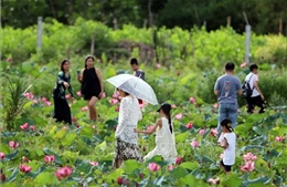 Đà Nẵng hướng tới phát triển du lịch xanh, chất lượng cao