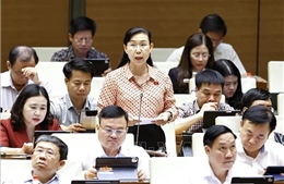 Cần tránh quy định quá chi tiết về thí điểm luật sư công