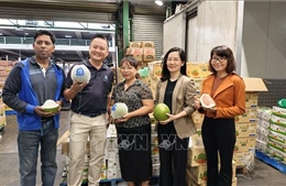 Lần đầu tiên trái bưởi Việt Nam có mặt tại thị trường Australia