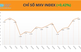 MXV-Index tiệm cận vùng cao nhất kể từ đầu năm, lúa mì dẫn dắt đà tăng 