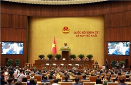 Thông cáo báo chí số 14, Kỳ họp thứ Nhất, Quốc hội khóa XVI