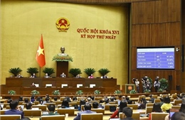 Thông qua Nghị quyết về phát triển văn hóa và thành lập thành phố Đồng Nai trực thuộc Trung ương