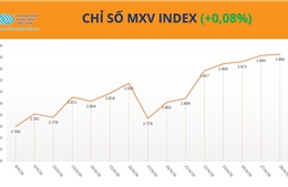 Lực mua tiếp tục áp đảo, chỉ số MXV-Index sát vùng 2.900 điểm