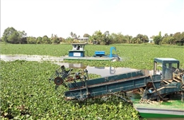 Máy cuộn lục bình mở lối cho dòng chảy và sinh kế