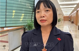 Thanh toán số, minh bạch thuế - Bài 3: Từ chối chuyển khoản lợi bất cập hại