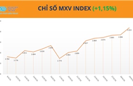 Hiệu ứng domino từ thị trường năng lượng kéo giá đường và ngô tăng cao