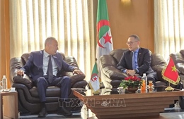Việt Nam thúc đẩy hợp tác đa lĩnh vực với địa phương Algeria